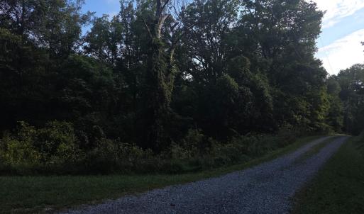 Photo #47 of Hickory Falls Road, Blue Ridge, VA 17.3 acres