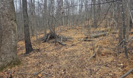 Photo #13 of Hickory Falls Road, Blue Ridge, VA 17.3 acres
