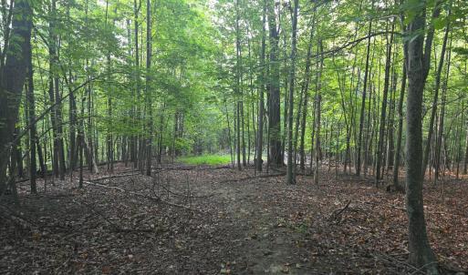 Photo #57 of Hickory Falls Road, Blue Ridge, VA 17.3 acres