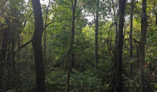Photo #51 of Hickory Falls Road, Blue Ridge, VA 17.3 acres