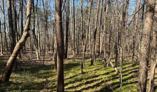 Photo #7 of Saber Court, Forest, VA 21.7 acres