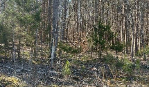 Photo #4 of Saber Court, Forest, VA 21.7 acres