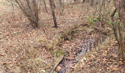 Photo #5 of 0 Maddox, Gladys, VA 25.0 acres