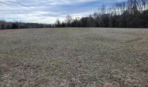 Photo #4 of 0 Maddox, Gladys, VA 25.0 acres