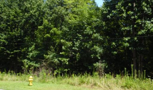 Photo #4 of Rothwood Road, Monroe, VA 7.5 acres