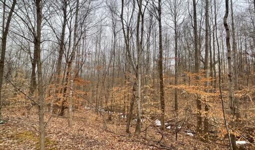 Photo #1 of Rothwood Road, Monroe, VA 7.5 acres