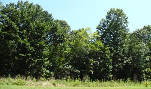 Photo #2 of Rothwood Road, Monroe, VA 7.5 acres