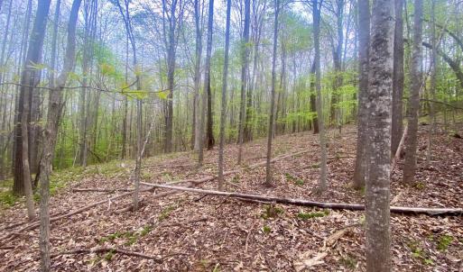 Photo #1 of Rothwood Road, Monroe, VA 7.5 acres