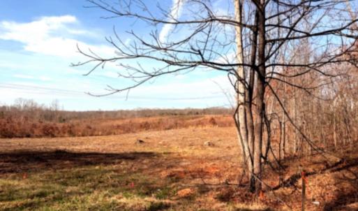 Photo #1 of 3 Buffalo Mill, Evington, VA 0.7 acres