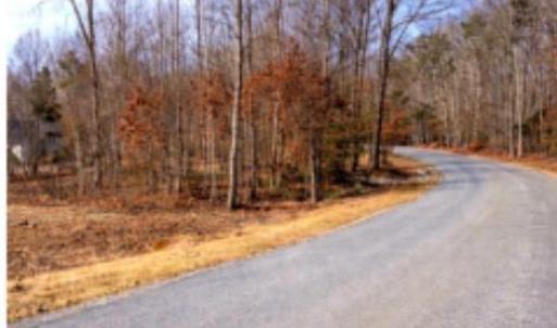 Photo #6 of 3 Buffalo Mill, Evington, VA 0.7 acres