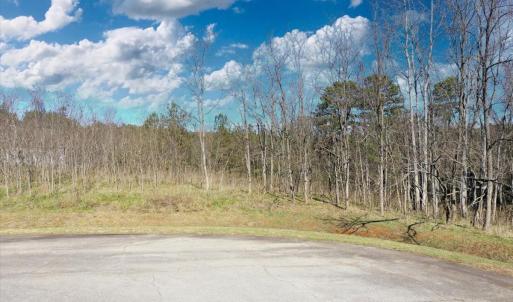 Photo #7 of Lot 22 Jeramiah Run, Lynch Station, VA 0.6 acres