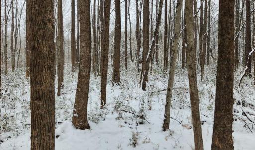 Photo #9 of Soybean Drive, Appomattox, VA 4.6 acres