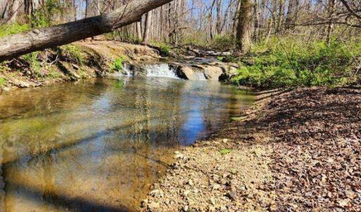 Photo #6 of Soybean Drive, Appomattox, VA 4.6 acres