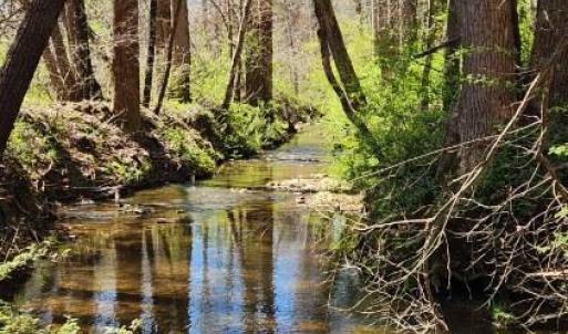 Photo #5 of Soybean Drive, Appomattox, VA 4.6 acres