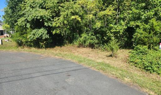 Photo #2 of Soybean Drive, Appomattox, VA 4.6 acres