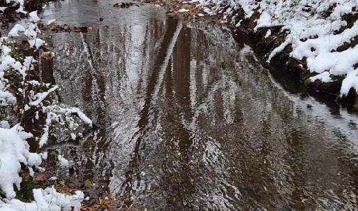 Photo #8 of Soybean Drive, Appomattox, VA 4.6 acres