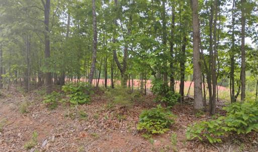 Photo #2 of EASOME Road, Hurt, VA 5.5 acres