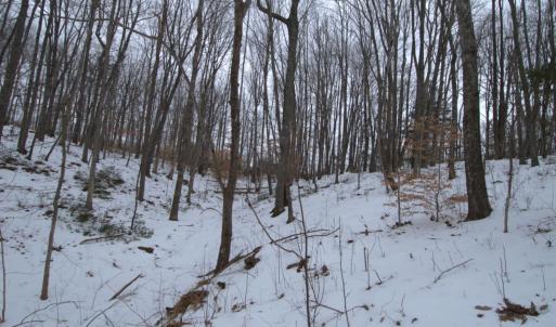 Photo #15 of 6 Lime Plant Road, Appomattox, VA 16.7 acres