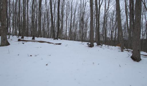 Photo #11 of 6 Lime Plant Road, Appomattox, VA 16.7 acres