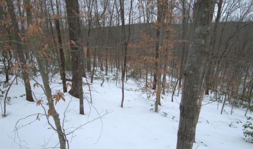 Photo #10 of 6 Lime Plant Road, Appomattox, VA 16.7 acres