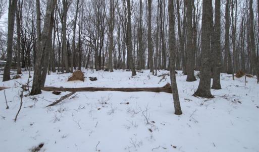 Photo #16 of 6 Lime Plant Road, Appomattox, VA 16.7 acres