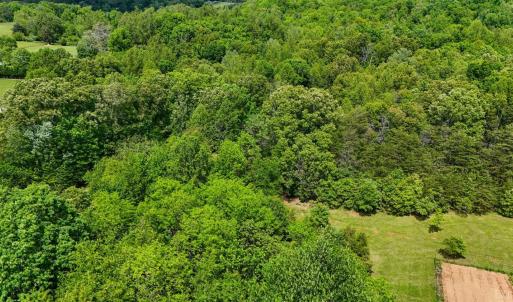 Photo #12 of Nelmonte Ln, Arrington, VA 4.9 acres