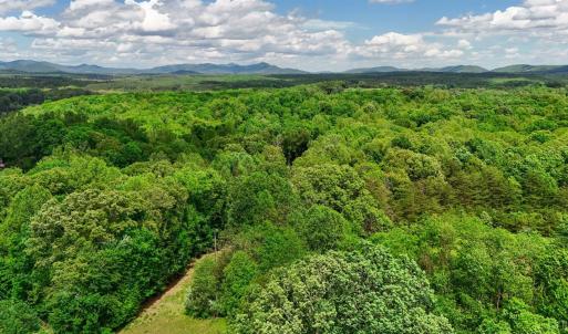 Photo #13 of Nelmonte Ln, Arrington, VA 4.9 acres