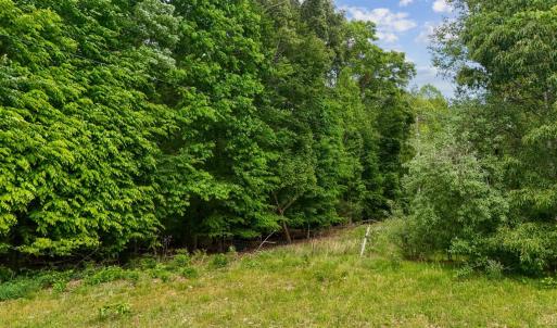 Photo #15 of Nelmonte Ln, Arrington, VA 4.9 acres