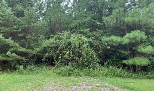 Photo #18 of Lot 284 Waterway CT, Lynch Station, VA 0.8 acres