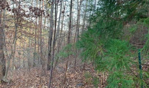 Photo #10 of Lot 284 Waterway CT, Lynch Station, VA 0.8 acres