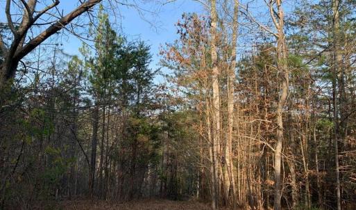 Photo #21 of Lot 284 Waterway CT, Lynch Station, VA 0.8 acres