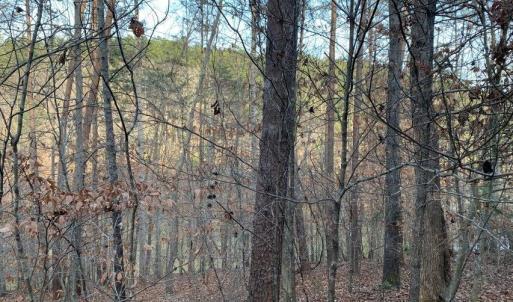 Photo #7 of Lot 284 Waterway CT, Lynch Station, VA 0.8 acres