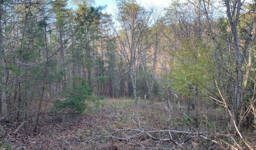 Photo #20 of Lot 284 Waterway CT, Lynch Station, VA 0.8 acres