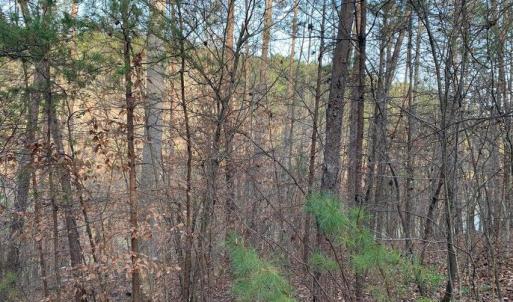 Photo #12 of Lot 284 Waterway CT, Lynch Station, VA 0.8 acres