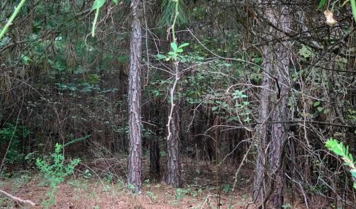 Photo #11 of Lot 284 Waterway CT, Lynch Station, VA 0.8 acres