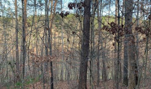 Photo #8 of Lot 284 Waterway CT, Lynch Station, VA 0.8 acres
