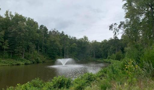 Photo #5 of Lot 284 Waterway CT, Lynch Station, VA 0.8 acres