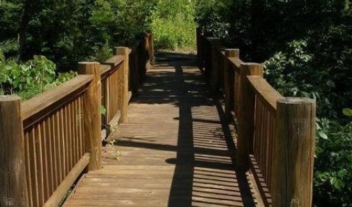 Photo #3 of Lot 284 Waterway CT, Lynch Station, VA 0.8 acres