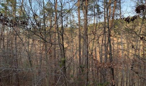 Photo #9 of Lot 284 Waterway CT, Lynch Station, VA 0.8 acres