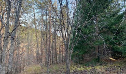 Photo #22 of Lot 284 Waterway CT, Lynch Station, VA 0.8 acres