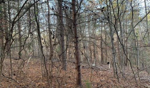 Photo #13 of Lot 284 Waterway CT, Lynch Station, VA 0.8 acres