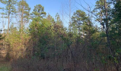 Photo #17 of Lot 284 Waterway CT, Lynch Station, VA 0.8 acres