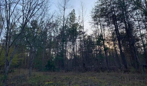 Photo #19 of Lot 284 Waterway CT, Lynch Station, VA 0.8 acres