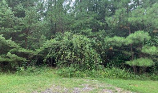 Photo #18 of Lot 284 Waterway CT, Lynch Station, VA 0.8 acres