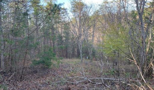 Photo #20 of Lot 284 Waterway CT, Lynch Station, VA 0.8 acres