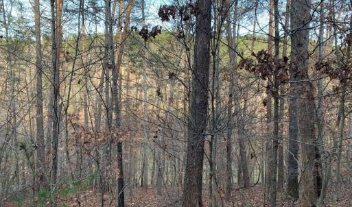 Photo #8 of Lot 284 Waterway CT, Lynch Station, VA 0.8 acres