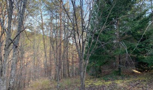 Photo #22 of Lot 284 Waterway CT, Lynch Station, VA 0.8 acres