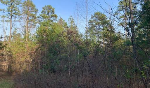 Photo #17 of Lot 284 Waterway CT, Lynch Station, VA 0.8 acres