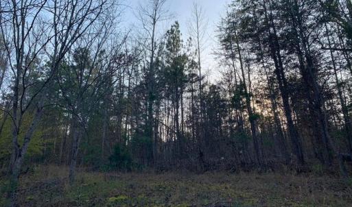 Photo #19 of Lot 284 Waterway CT, Lynch Station, VA 0.8 acres