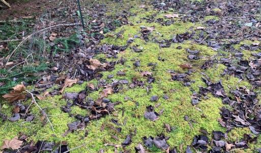 Photo #15 of Lot 284 Waterway CT, Lynch Station, VA 0.8 acres